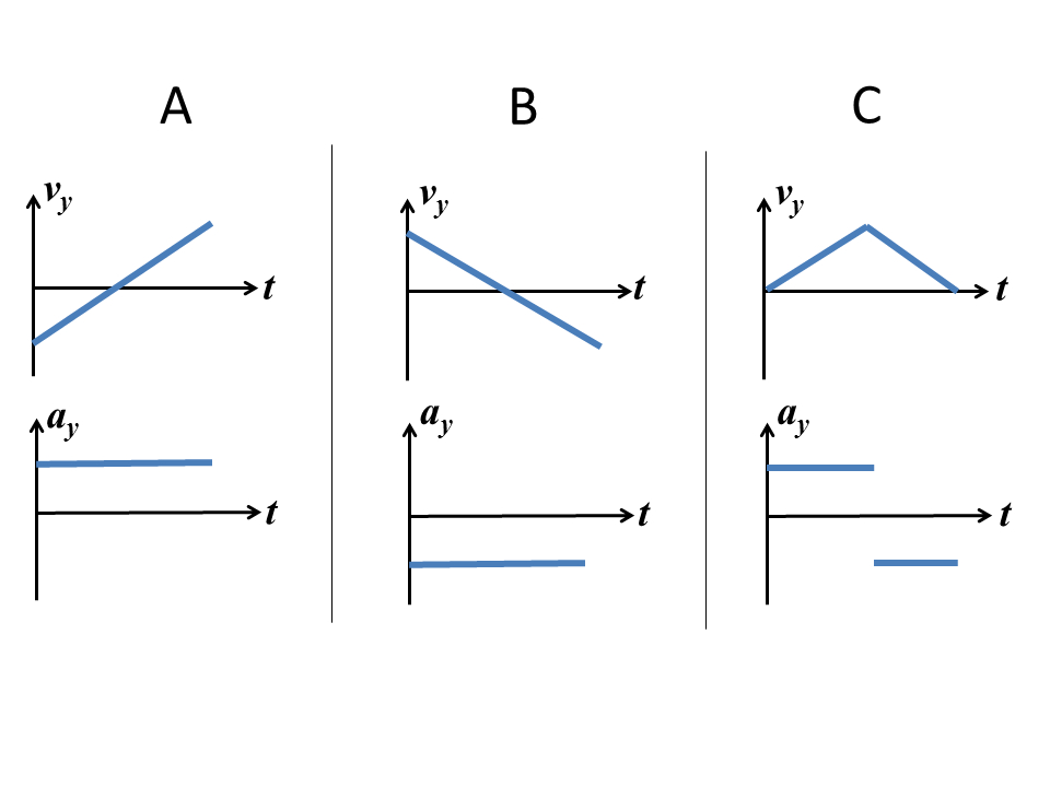 SOLVED 1 2 A FOX LOCATES ITS PREY USUALLY A MOUSE UNDER visual data 2