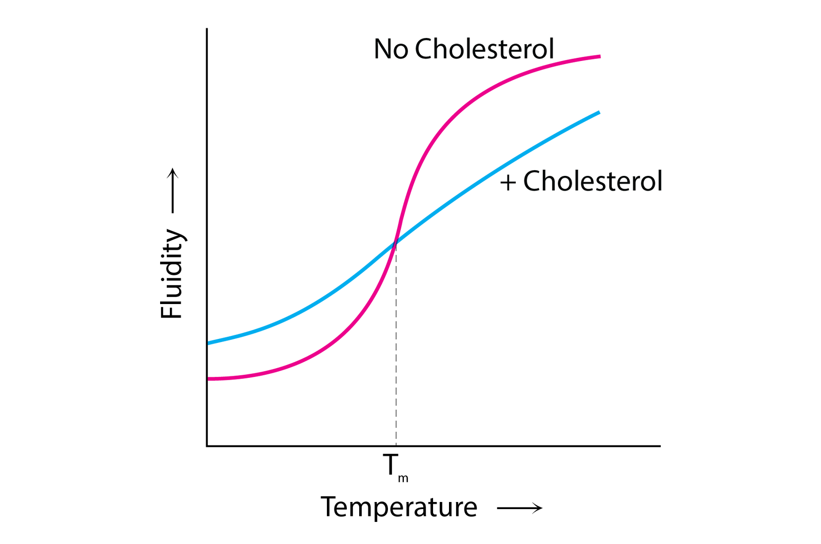 transition temperature lipid c Separation of Liquid Phases in Giant Vesicles of Ternary Mixtures of Phospholipids and Cholesterol: Biophysical Journal Solved On the graph, the