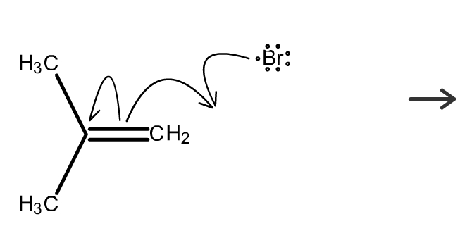 an alkene where carbon 1 is bonded to two methyl groups and carbon 2 is bonded to two hydrogens. A fishhook arrow starts from a bromide with 7 nonbonding electrons and meets a fishook arrow starting from the alkene. A third fishhook arrow starts from the alkene and points to the alkene carbon bonded to two methyl groups.