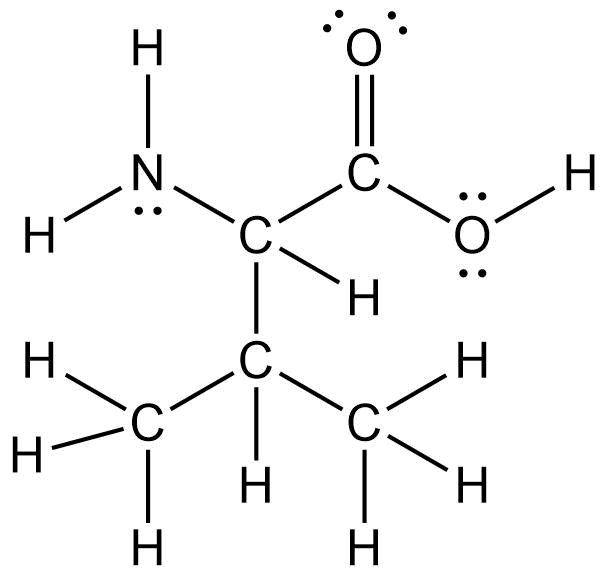 Compound A is valine, which is carbon bonded to four different groups. Group 1 is N H 2, where nitrogen has a lone pair. Group 2 is a carboxylic acid, where both oxygens have a two lone pairs. Group 3 is a carbon bonded to two methyls and one hydrogen. Group 4 is a hydrogen. 