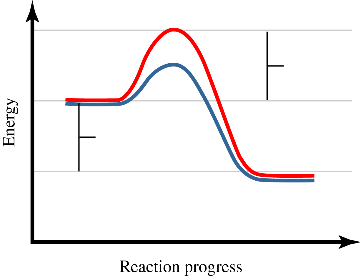 Energy is plotted on the y axis versus the reaction progress on the x axis. There are two curves. Both curves start at the same energy, rise to a maximum energy and decrease to the same final energy. The final energy is lower than the initial energy. The maximum energy of the red (top) curve is greater than the maximum energy of the blue (botton) curve.