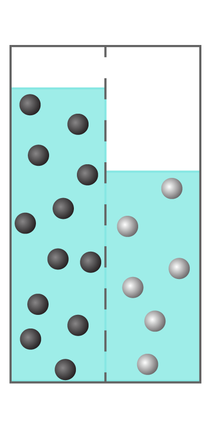 Two aqueous solutions separated by a semipermeable membrane. The water level on the left is greater than the water level on the right. In the left solution there are 12 black spheres. In the right solution there are 6 white spheres.