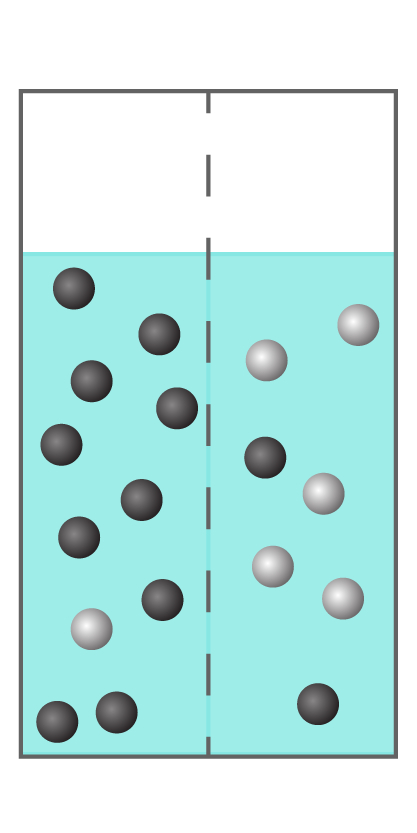 Two aqueous solutions separated by a semipermeable membrane. The water level on each side of the membrane is equal. In the left solution there are 10 black spheres and 1 white sphere. In the right solution there are 5 white spheres and 2 black spheres.