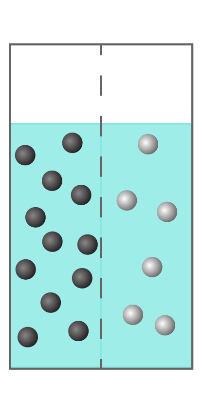 Two aqueous solutions separated by a semipermeable membrane. The water level on each side of the membrane is equal. In the left solution there are 12 black spheres. In the right solution there are 6 white spheres.