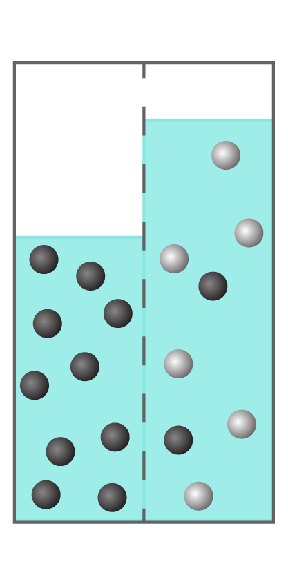 Two aqueous solutions separated by a semipermeable membrane. The water level on the right is greater than the water level on the left. In the left solution there are 10 black spheres. In the right solution there are 6 white spheres and 2 black spheres.