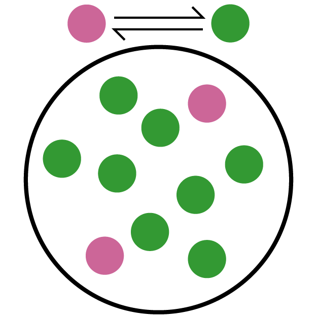 The pink spheres represent the reactant and the green spheres represent the product of a system at equilibrium. There are 2 pink spheres and 8 green spheres.